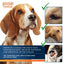 All Pets Eye Wash Drops for Relieve Pink Eye Allergies Symptoms - Nose n Paws Pet Shop