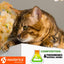 Beloved Pets Calming Pheromone Spray & Scratch Repellent for Cats - Nose n Paws Pet Shop